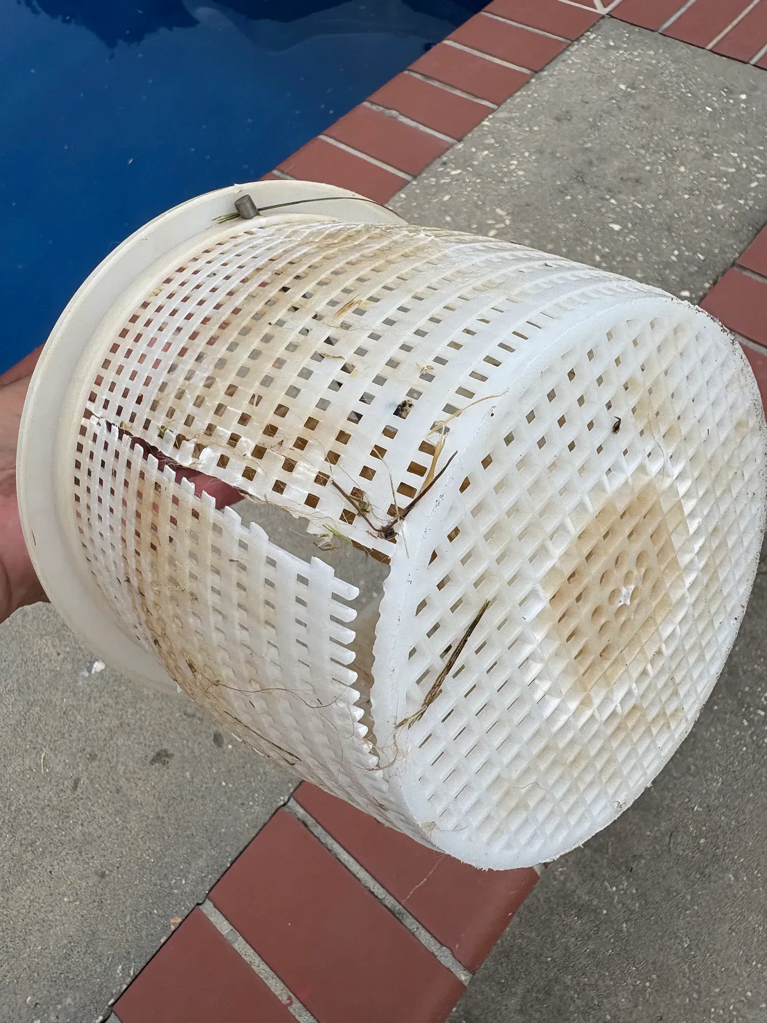 A cracked white plastic skimmer basket.