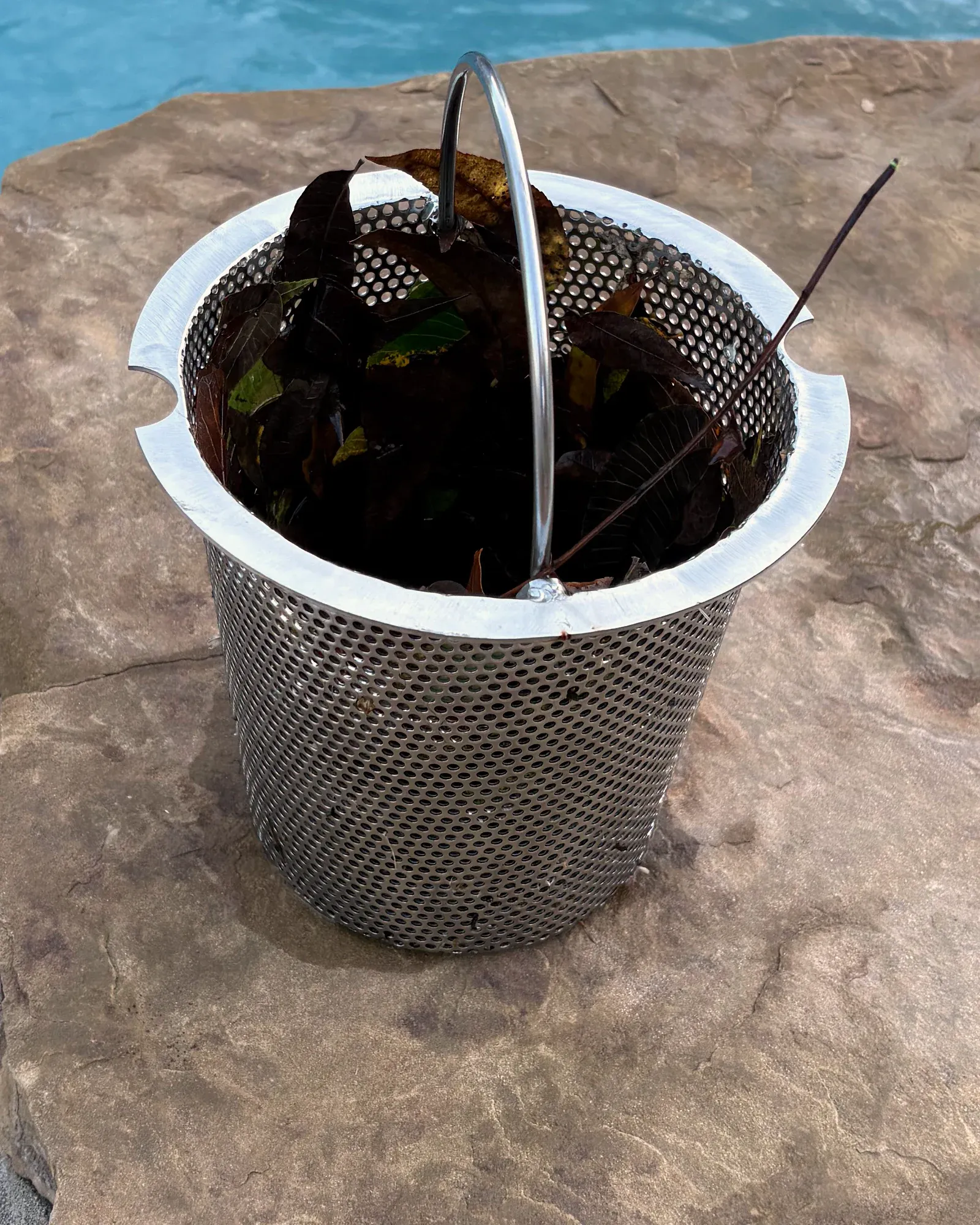Stainless steel skimmer basket full of leaves on the stone edge of a pool, a notch cut into its rim on each of two opposite sides.